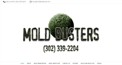 Desktop Screenshot of moldbustersllc.com