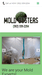 Mobile Screenshot of moldbustersllc.com